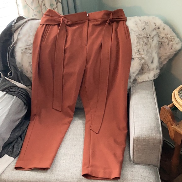 Halogen (Nordstrom) size 18 rust pant - Picture 8 of 11